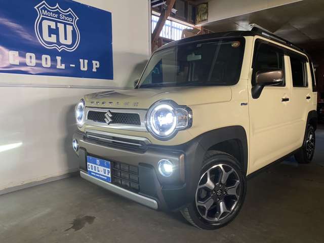 Suzuki Hustler 6