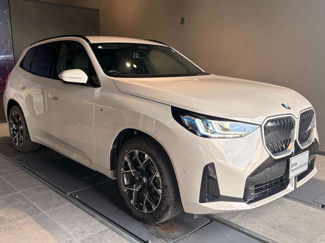 BMW X3 7