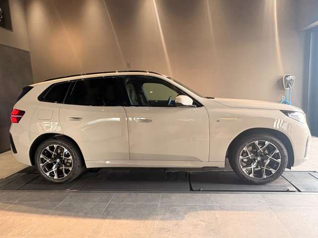 BMW X3 8