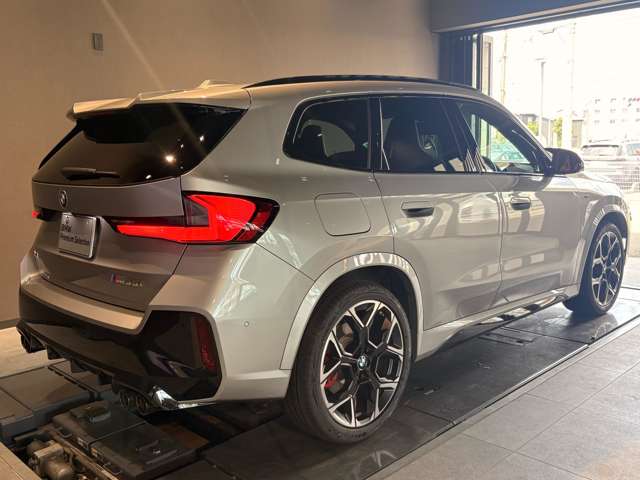 BMW X1 9