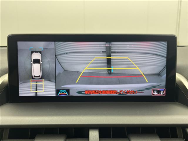 Lexus NX 10