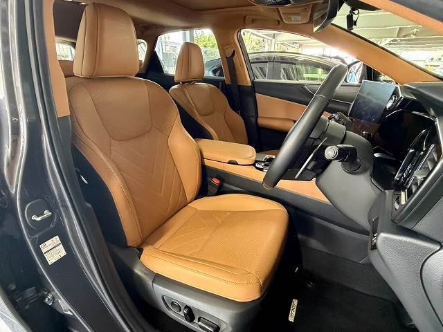 Lexus NX 11