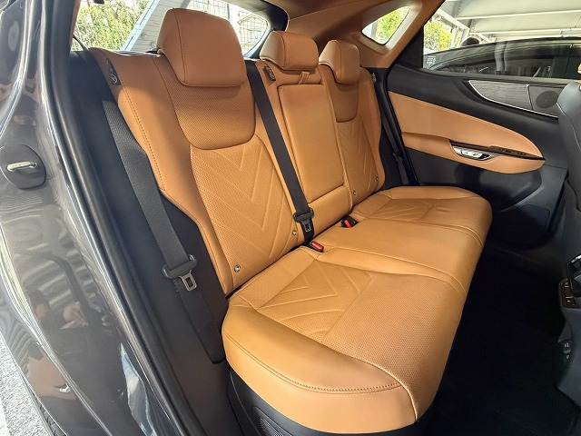 Lexus NX 12