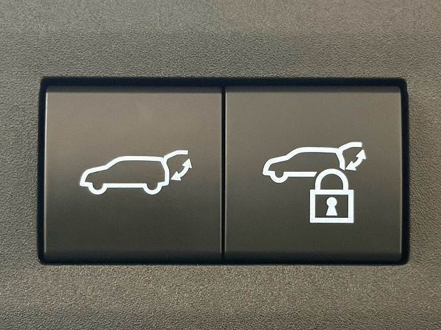 Lexus NX 9