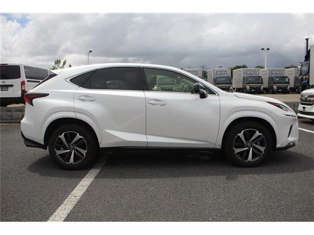 Lexus NX 11