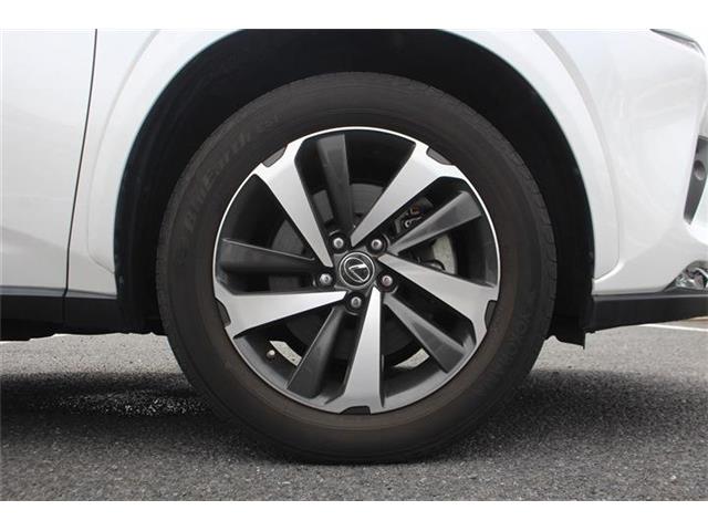 Lexus NX 12