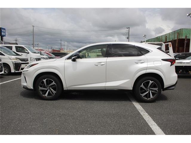Lexus NX 9