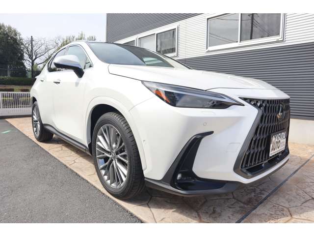 Lexus NX 3