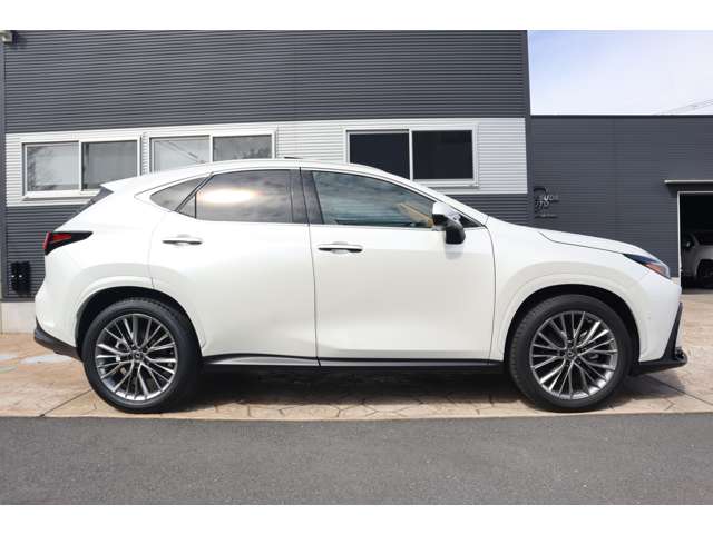 Lexus NX 4