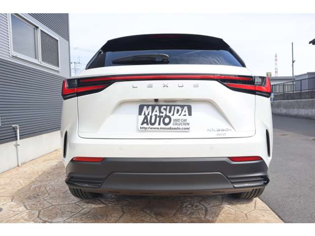 Lexus NX 6