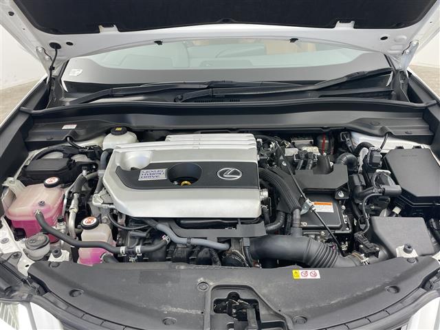 Lexus UX 10