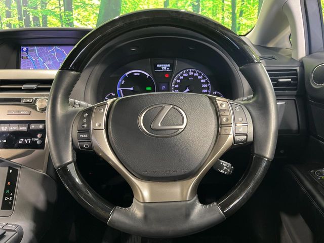 Lexus RX Hybrid 11