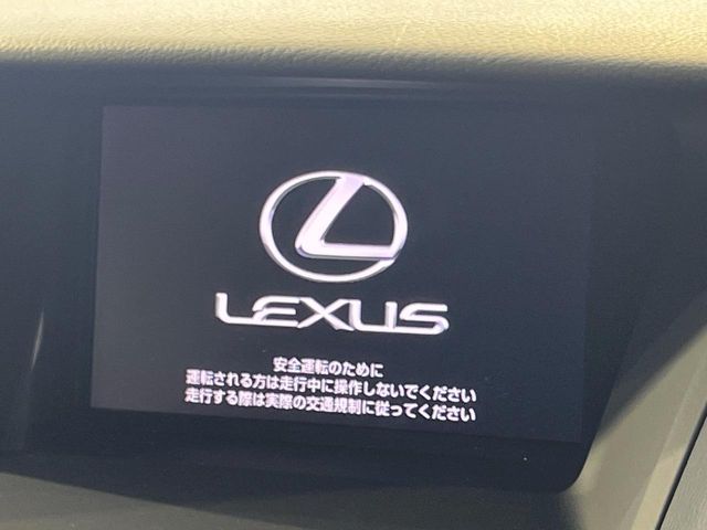 Lexus RX Hybrid 3