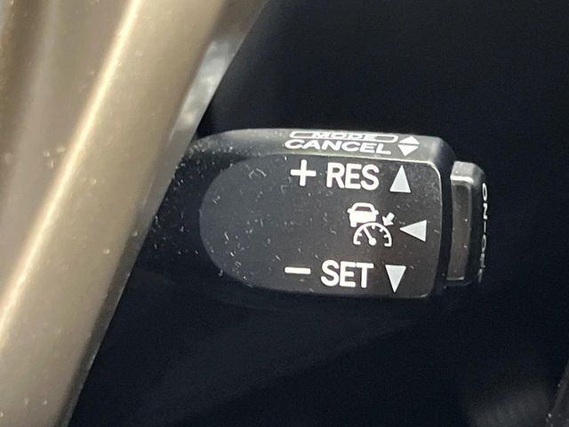 Lexus RX Hybrid 6