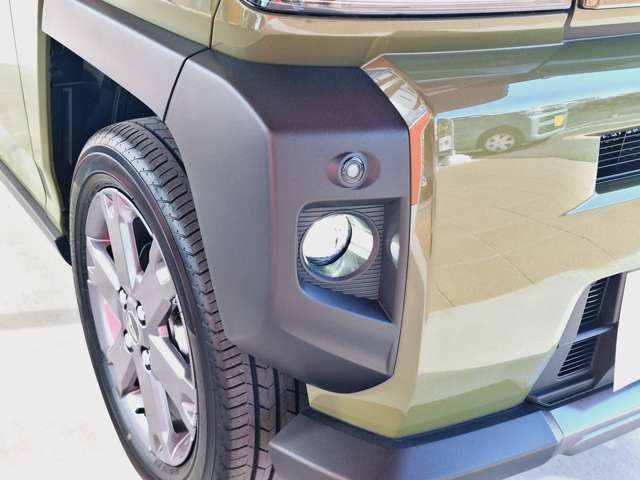 Daihatsu Taft 11