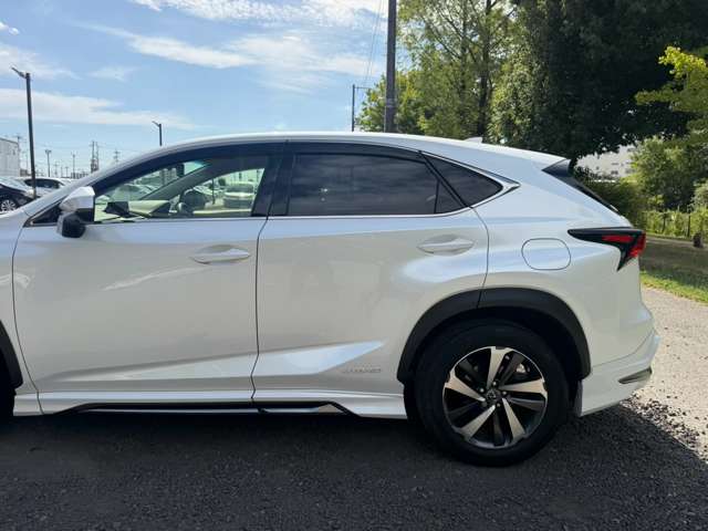 Lexus NX 12