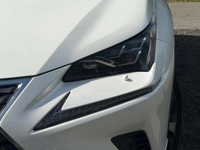 Lexus NX 4