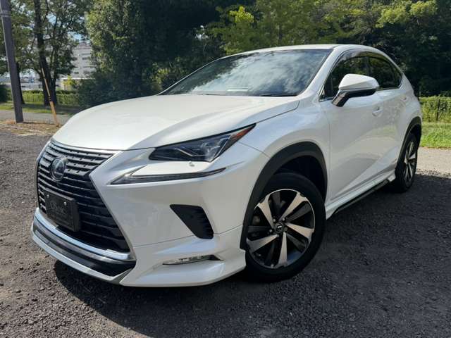 Lexus NX 6