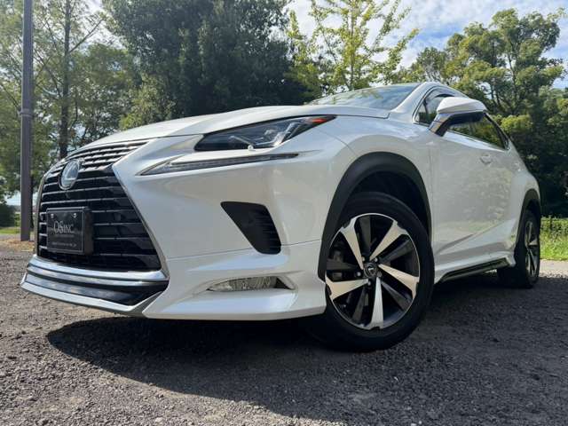 Lexus NX 7