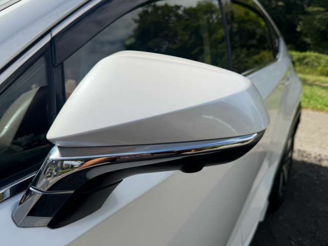 Lexus NX 10
