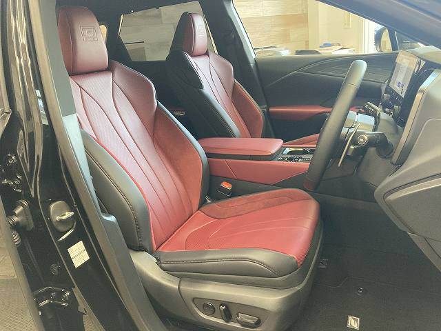 Lexus RX 11