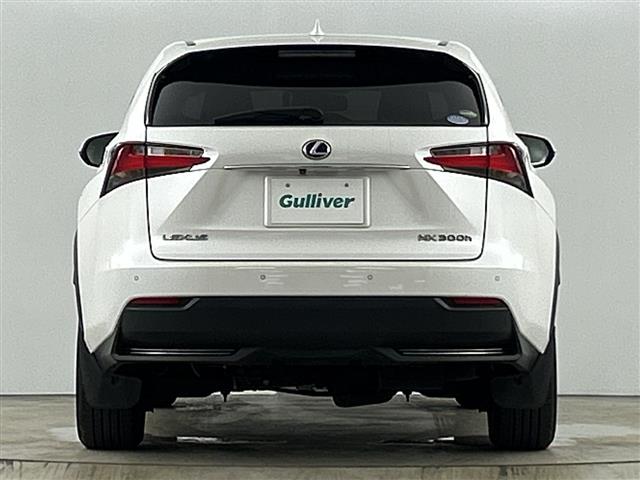 Lexus NX 11