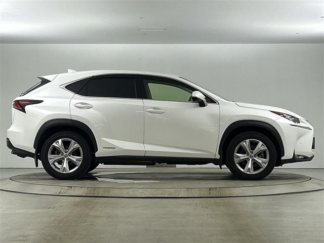 Lexus NX 12