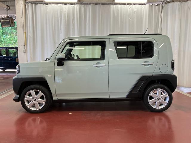 Daihatsu Taft 8