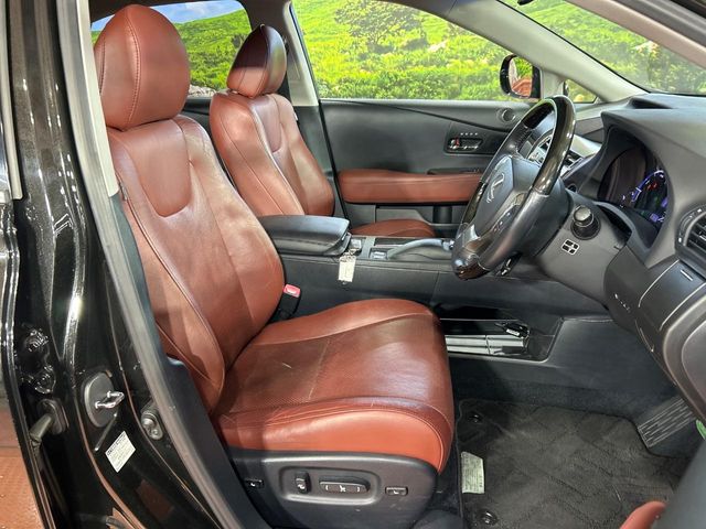 Lexus RX Hybrid 8