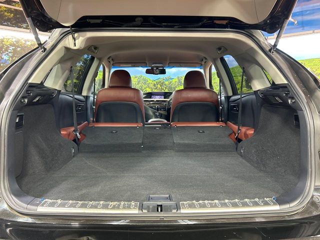 Lexus RX Hybrid 10