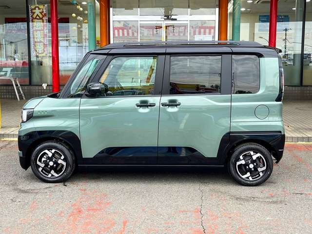 Mitsubishi Delica Mini 4