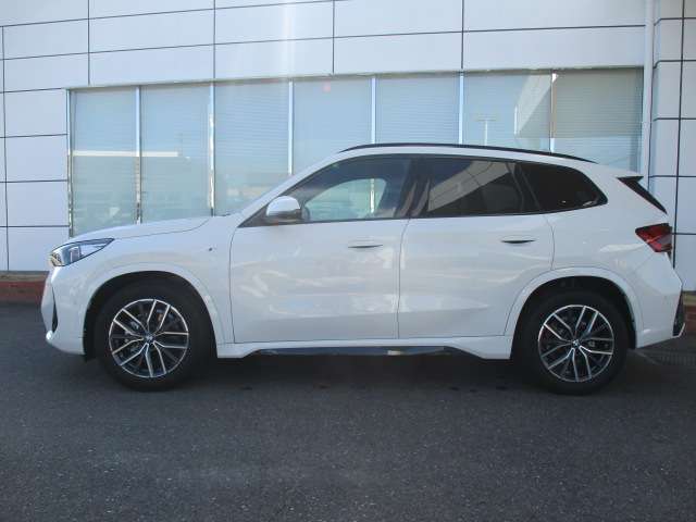 BMW X1 10