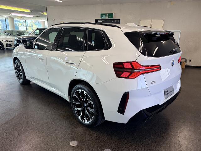 BMW X3 8
