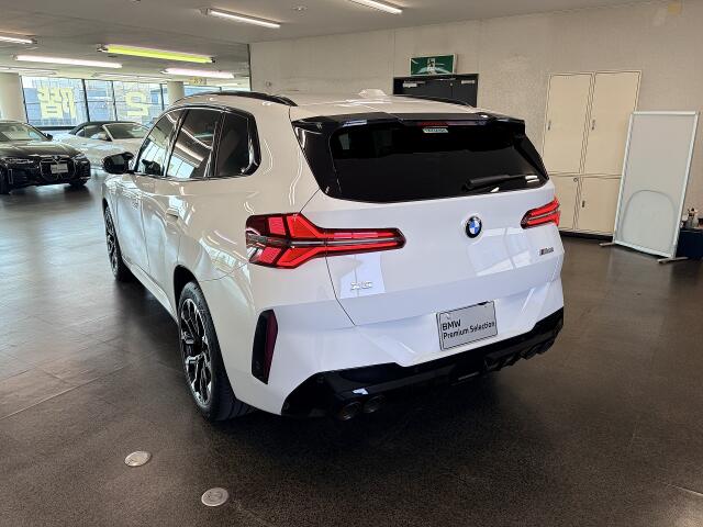 BMW X3 9