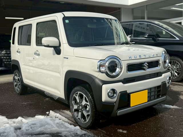 Suzuki Hustler 4