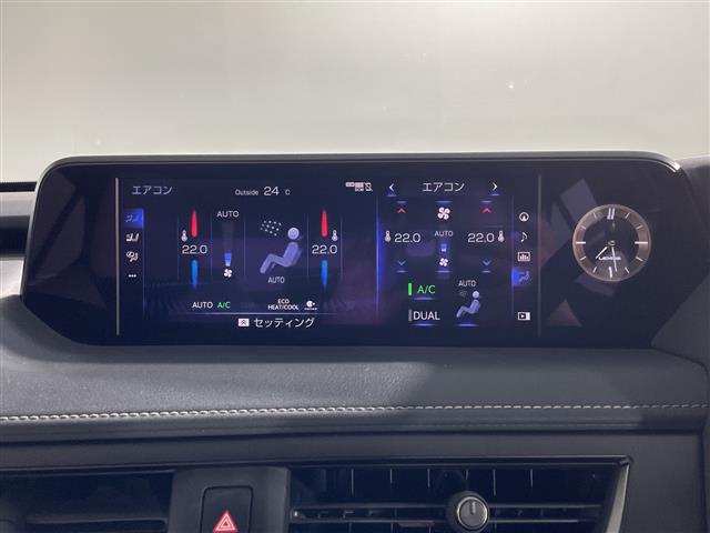 Lexus UX 12