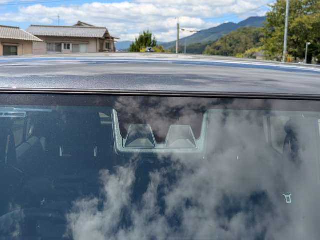 Daihatsu Taft 12