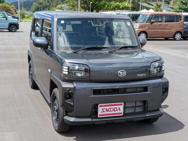 Daihatsu Taft 8