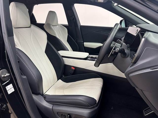 Lexus RX 11