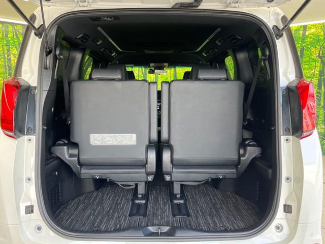 Toyota Alphard 11