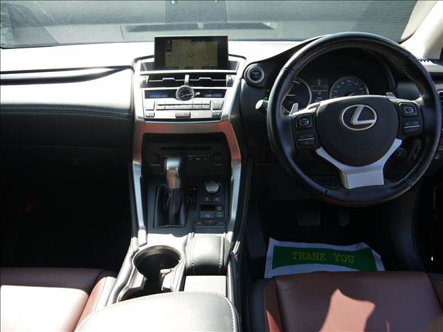 Lexus NX 11