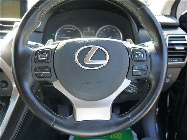 Lexus NX 12