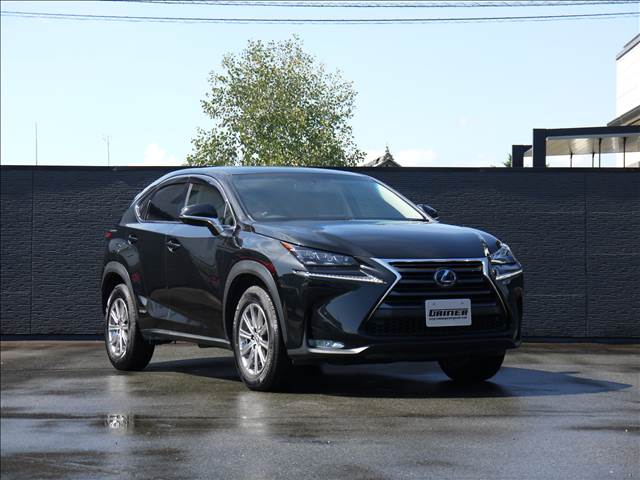 Lexus NX 4