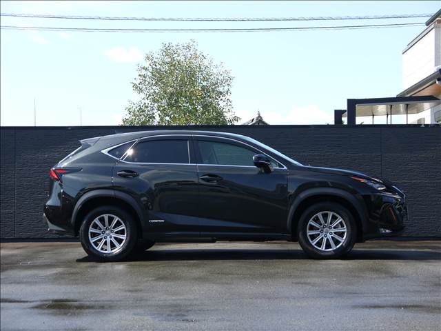 Lexus NX 6