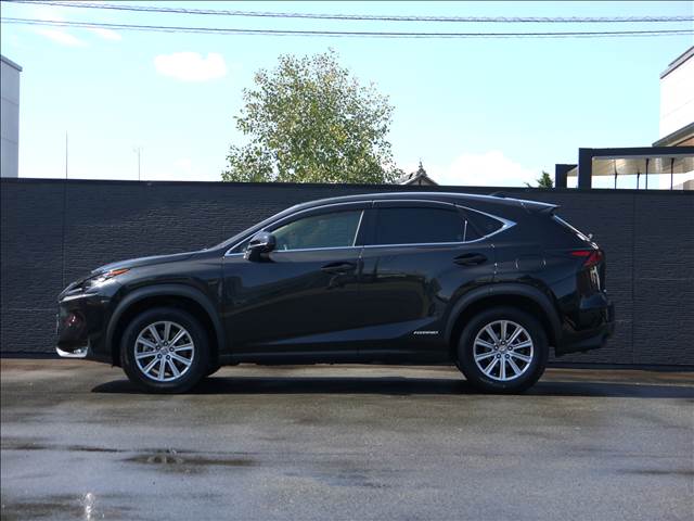 Lexus NX 7
