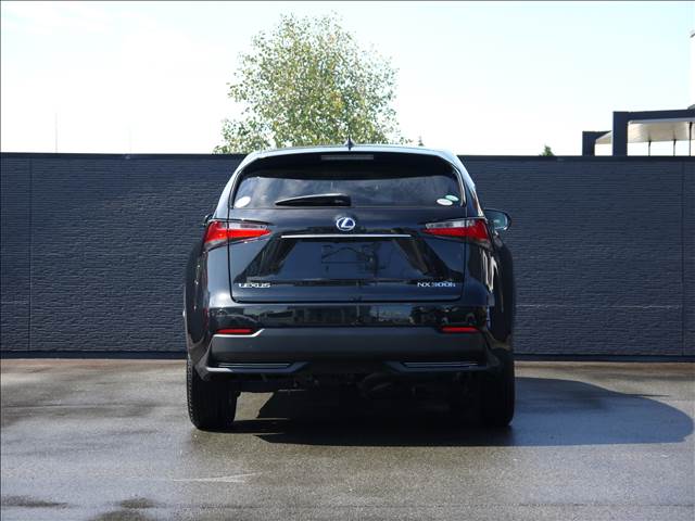 Lexus NX 8