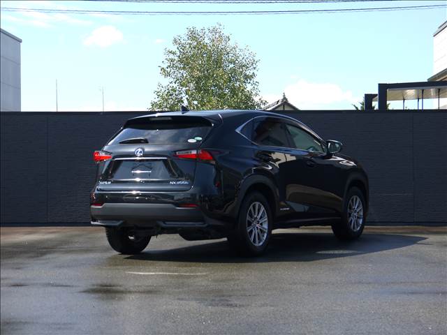 Lexus NX 9