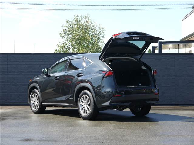 Lexus NX 10