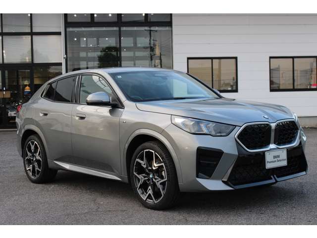 BMW X2 11