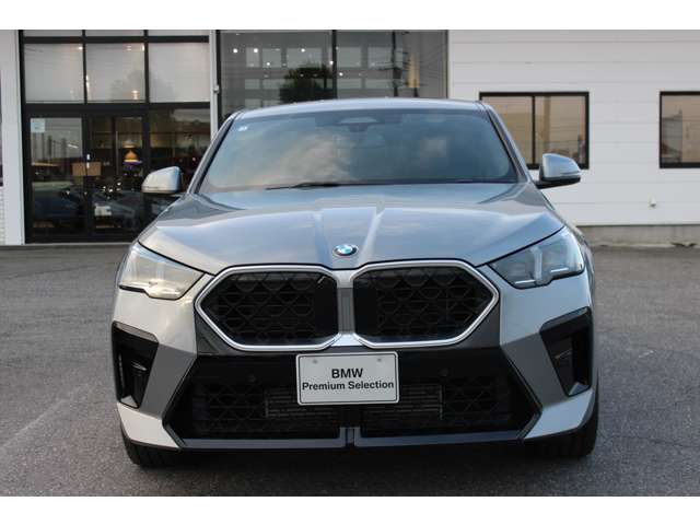 BMW X2 10